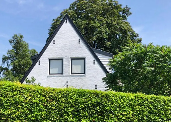 Paradis * Берген